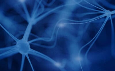 Successful Rehabilitation After TBI